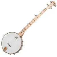 deering goodtime electro acoustique - banjo 5-cordes