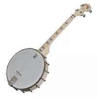 deering goodtime 17-fret tenor - banjo 4 cordes