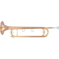 trompette de cavalerie mib - cuivre rose verni - avec gigbag