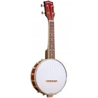 bus banjo soprano ukelele+case