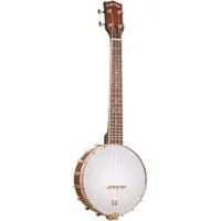 but tenor banjo ukulele+case