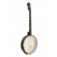 banjo tnor irlandais avec 19 frettes, housse incluse