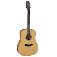 takamine g series 20 gd20 - guitare - acoustique - dreadnought