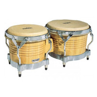 Bongo