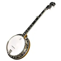 deering calico - banjo 5 cordes