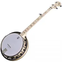 deering goodtime two - banjo 5 cordes