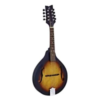 flat mandolin rma5 vintage sunburst