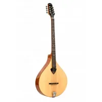 bz-500 irish bouzouki mandolin+case