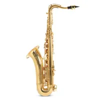 saxophone tenor sib (ts-302)