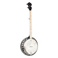 banjo 5 cordes, gris